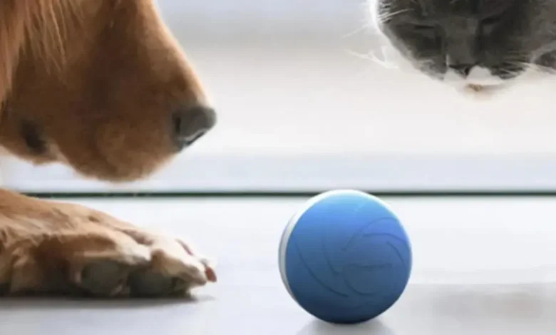 Peppy Pet Ball