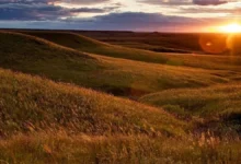 Tuttle Creek State Park