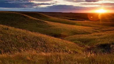 Tuttle Creek State Park